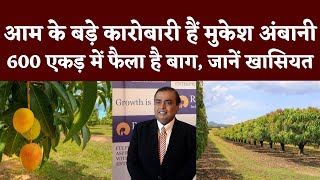 Mango बेचकर तगड़ी कमाई करते हैं Mukesh Ambani 600 एकड़ में फैला है Jamnagr में उनका बाग [upl. by Aidyn691]