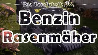 🏡 Benzinrasenmäher Test – 🏆 Top 3 Benzinrasenmäher im Test [upl. by Anrym541]