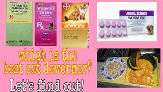 Paano magdeworm ng pusaDeworming cats using Natural home remedy and over the counter dewormer [upl. by Oecam]