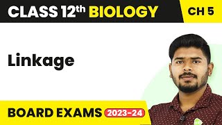 Linkage  Principles of Inheritance and Variation  Class 12 Biology 202223 [upl. by Nosahc416]