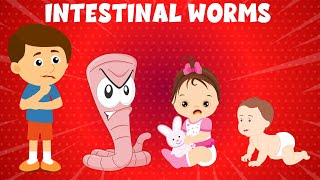 Intestinal Worms Parasitic Worms Types of Worms in Humans Symptoms and Treatment [upl. by Allecsirp]