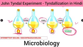 Microbiology   Tyndallization  John Tyndal Experiment in Hindi  Experiment of John Tyndal in Hin [upl. by Enneite]