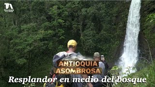 Antioquia Asombrosa Yarumal Resplandor en medio del bosque  Teleantioquia [upl. by Arundell601]