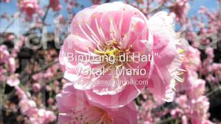 bimbang di hati Mario  POP mandarin INDONESIA [upl. by Maice]