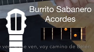 Burrito Sabanero  Canta con el Cuatro [upl. by Stav448]