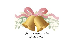 Sam and Leah Wedding Reception [upl. by Aneleh46]