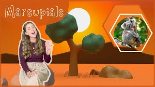 Marsupials  Fun Song for Kids  Koalas Kangaroos Wombats amp Possums  Educational Music for Kids [upl. by Lieno]