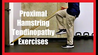 Proximal Hamstring Tendinopathy Exercises [upl. by Reffineg]