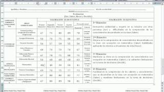 COMO LLENAR LA VALORACION CUALITATIVA [upl. by Vallonia82]