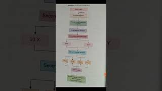 Notes of Spermatogenesis Nursing life followformore🥰🥰 [upl. by Brabazon821]