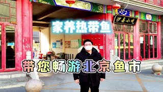 元旦假期，我和小伙伴畅游北京的各大花鸟鱼虫市场，大开眼界！ [upl. by Llednek323]