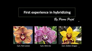 February 6 2024 SFOS Meeting with Pierre Pujol on First Experience Hybridizing Orchids [upl. by Molton]