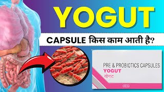 Yogut Capsule Uses Review Benefits Explained in Hindi  Apke Gut Health ka Best Solution [upl. by Ennaimaj]