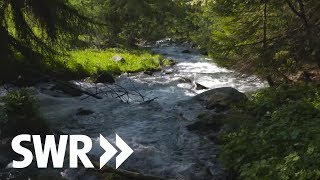 Südtirol Gardasee Adria  die Etsch  SWR Geschichte amp Entdeckungen [upl. by Aliehs]