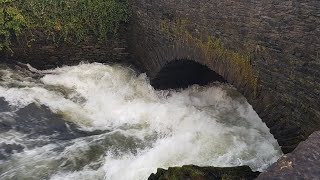 White Water Kayaking Under Backbarrow Bridge on the River Leven Lake District Jan 2018 [upl. by Idnil]