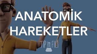 Anatomik hareketler 3d animasyonlu anlatım [upl. by Linders603]