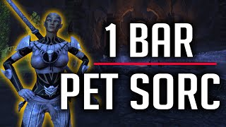 One Bar Pet Sorc Build Vateshran Hollows Vet  Full Run ESO [upl. by Sukramal]