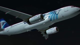 First audio of EgyptAir pilot released [upl. by Naejamron]