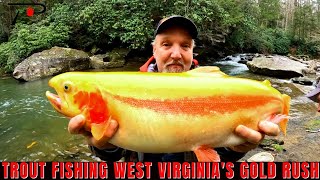 Trout Fishing West Virginias Gold Rush [upl. by O'Donnell]