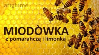 MIODÓWKA nalewka ok 40  prosty sprawdzony przepis [upl. by Odla]