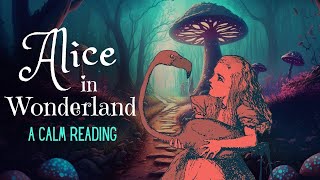 Reading of Alice in Wonderland  full audiobook  Story Reading for Sleep  Relaxing Reading [upl. by Wells]