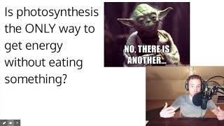 Photosynthesis amp Chemosynthesis [upl. by Latoyia]