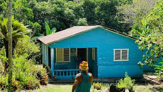 Un Paraíso Escondido En El Campo De TubaguaPuerto PlataRepublica Dominicana [upl. by Hermy]