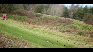 Clays Away Colerne 28th December 2023 Browning B725 Shotkam Clay pigeon shooting [upl. by Alisha662]