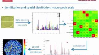 Raman Hyperspectral Imaging An Essential Tool in the Pharmaceutical Field [upl. by Ibrab]