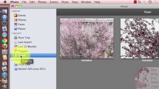 How to empty the iPhoto Trash [upl. by Dyan]