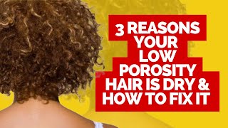 3 reasons your low porosity hair is so dry and how to fix it Low Porosity Hair Care Guide [upl. by Wein]