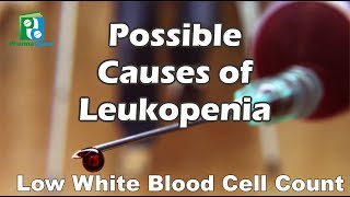 Possible Causes of Leukopenia [upl. by Neirad]