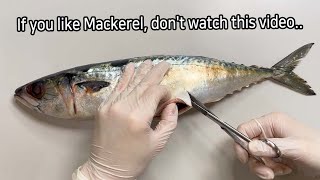 Shocking Parasites Discovered During Mackerel Dissection [upl. by Carree]