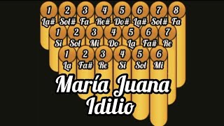 Tutorial y notas de zampoña Idilio  María Juana [upl. by Kuo77]