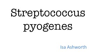 Streptococcus pyogenes  Microbiology for Medical Students [upl. by Ahsirtal418]