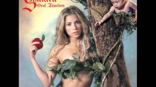 Shakira feat Wycef Jean  Hips Dont Lie  Descarga 320 Kbps  Letra HQ [upl. by Nierman275]