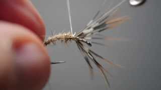 Tying the Gold Ribbed Hares Ear Sakasa Kebari [upl. by Afrikah]