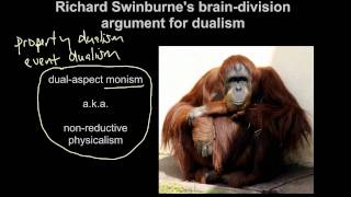 17c Descartes and Swinburne I am a soul  Richard Swinburnes brain division argument for dualism [upl. by Nalor39]