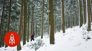 Ascending South Korea’s Most Respected Mountain [upl. by Carmela]