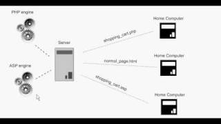 PHP Basics Serverside Programming Languages [upl. by Ewart]