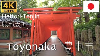 Toyonaka Japan 🇯🇵 豊中市  2022  4K·60p  Rain Walk around HattoriTenjin Shrine  豊中服部天神 [upl. by Ahsikan]