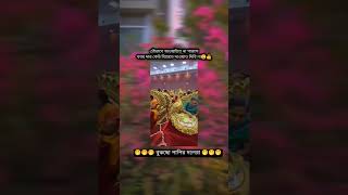 এভাবে খাওয়াতে পাড়লে দাওয়াত দিছ বান্ধবী love music lovesong unfrezzmyaccount [upl. by Zischke]