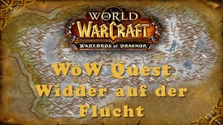 WoW Quest Widder auf der Flucht [upl. by Nimrahc]