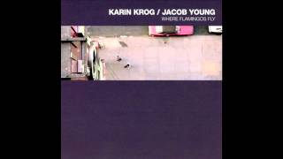 Karin Krog amp Jacob Young  KC Blues [upl. by Ecirual]