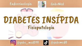 Diabetes Insípida  Fisiopatología [upl. by Ibby]