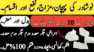 Noshadar Benefits In urdu  noshadarkefayde  noshadar ke fayde in urdu [upl. by Ela]