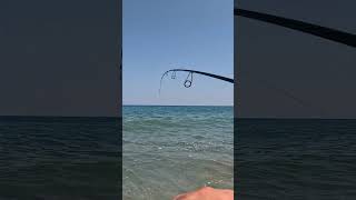 SETTEMBRE A ULTRALIGHT JIGGINGshorts ultralightfishing jigging shortsvideo spinning duo [upl. by Akimihs]