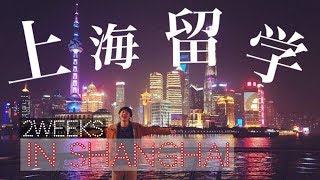 上海で２週間の中国語特訓！？LTL Mandarin School ちか友留学生活 [upl. by Eneryt]