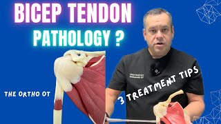 ✅ Long Head Bicep Tendon Inflammation Tips [upl. by Anahsahs]