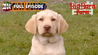 Big Barn Farm  Season 1 Episode 1  You Cant Teach A New Dog Old Tricks [upl. by Ecneitap]